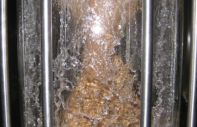 Mashinist with hygienic glass design - Bucher Denwel GmbH