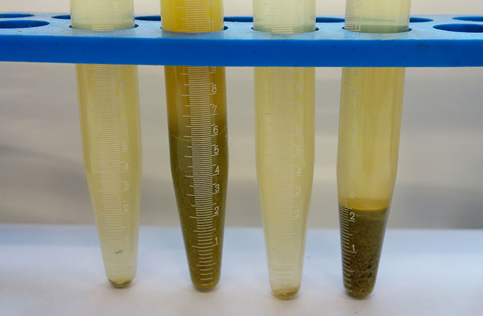 LoopulEX dry hopping hop dosing beer aroma external system separation solid hop material for breweries - Bucher Denwel Gmbh