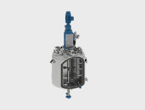 DDPS steel reactor