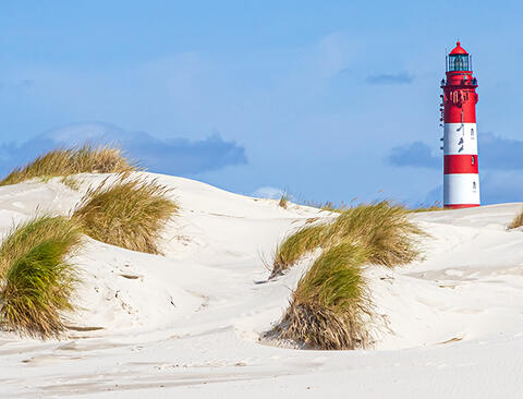 Urlaubsanspruch - Bucher Merk